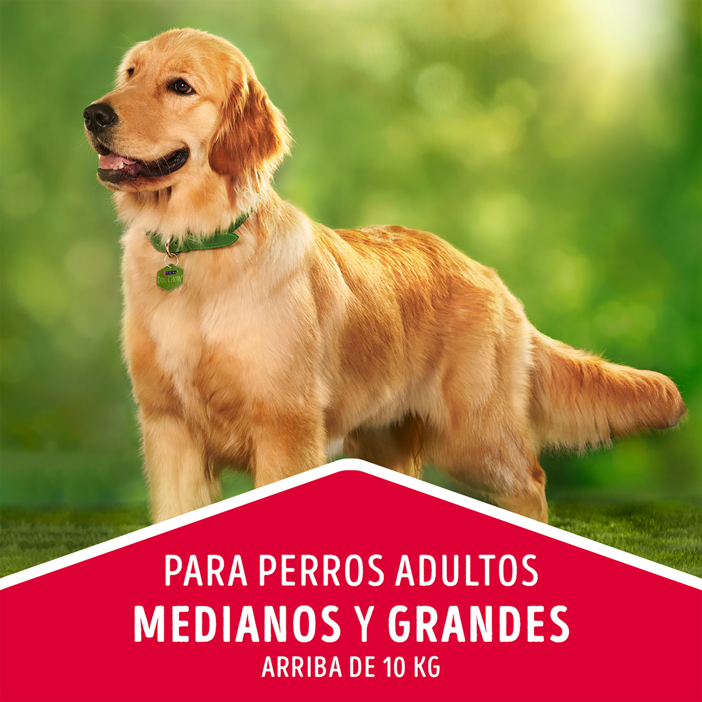 Alimento para perro Dog Chow Adulto Mediano y Grande 15 kg