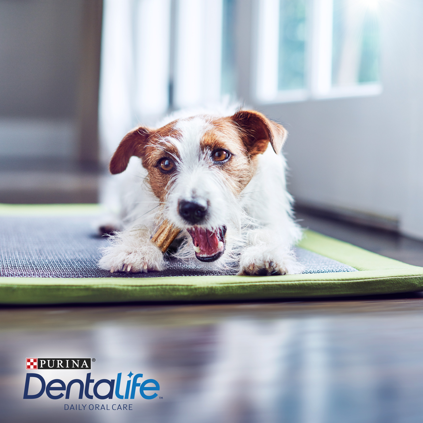 Snack para perro Dentalife adultos de razas pequeñas en bolsa de 42gr
