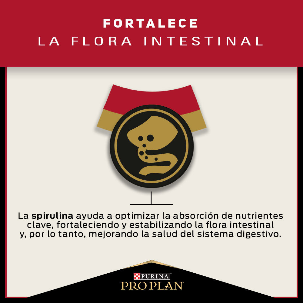 Alimento para perros Adultos medianos Pro Plan® 15kg