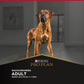 Alimento para perros adultos grandes Pro Plan® 15kg