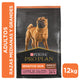 Alimento para perros medianos y grandes con piel sensible Pro Plan® Salmón 12kg