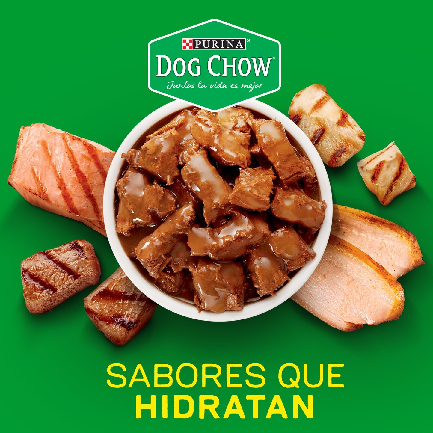 Alimento húmedo Dog Chow® Adultos Razas Pequeñas Buffet de Pollo 100 gr.